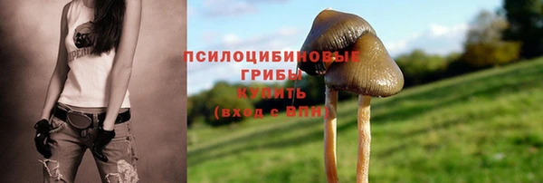 мет Краснослободск