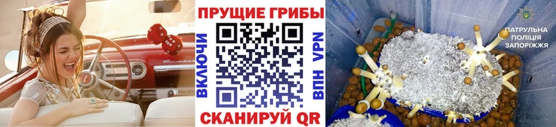 Купить где  Балабаново  Псилоцибиновые грибы MAGIC MUSHROOMS 